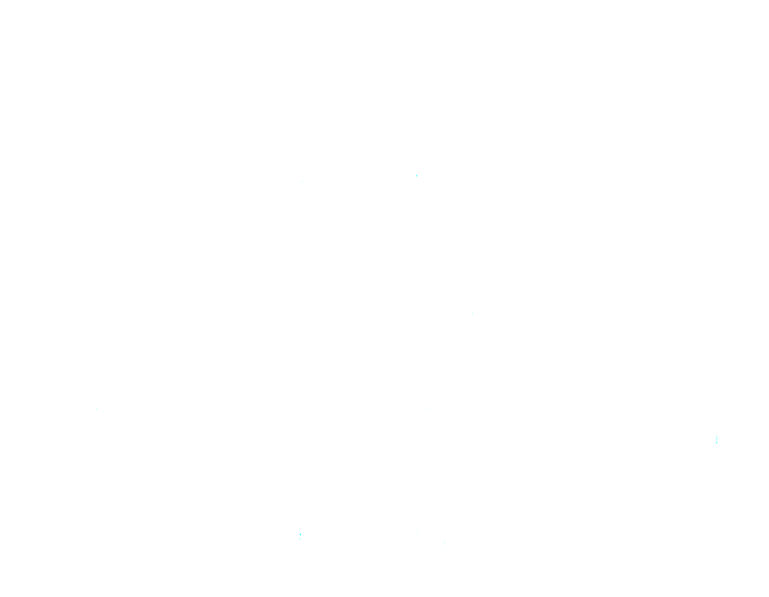 Pelican Site Services