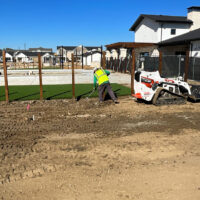 Pelican-Fine-Grading-1 Pelican-Fine-Grading-1